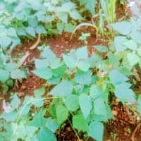 https://imagedelivery.net/Zup8WBbIN5Thd9Z4UDwdTA/112d54bd-3b5d-4f04-a0b2-e6807e4e1400/thumb