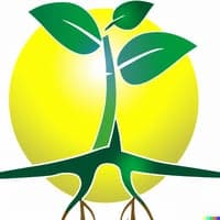 https://imagedelivery.net/Zup8WBbIN5Thd9Z4UDwdTA/3883082b-6272-41ef-1a4d-2a78652ced00/thumb