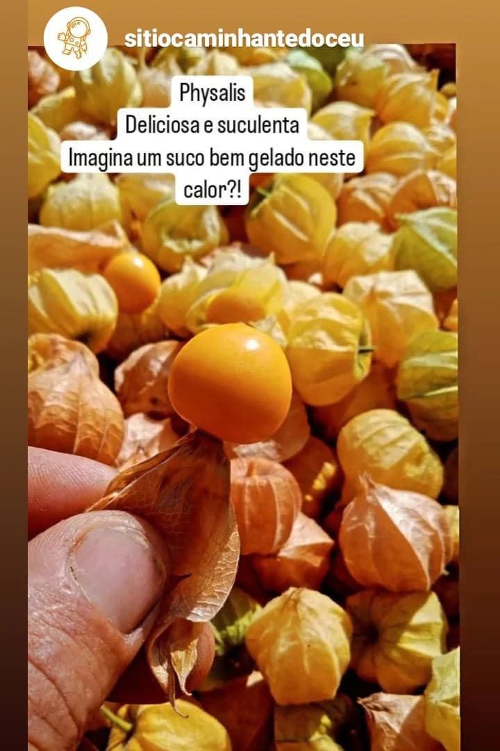 https://imagedelivery.net/Zup8WBbIN5Thd9Z4UDwdTA/4bb5625d-847f-4eee-108c-f6f1881efc00/instagram