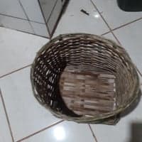 https://imagedelivery.net/Zup8WBbIN5Thd9Z4UDwdTA/4bd064ab-a64c-4858-e9b8-3fc6adbd2000/thumb