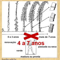 https://imagedelivery.net/Zup8WBbIN5Thd9Z4UDwdTA/535cc240-ece7-4c1a-e589-0243aa54b700/thumb