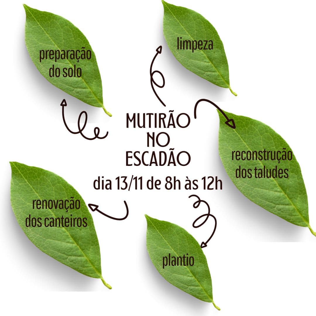 https://imagedelivery.net/Zup8WBbIN5Thd9Z4UDwdTA/53715532-25b2-484e-bb38-0ca772ad2900/instagram