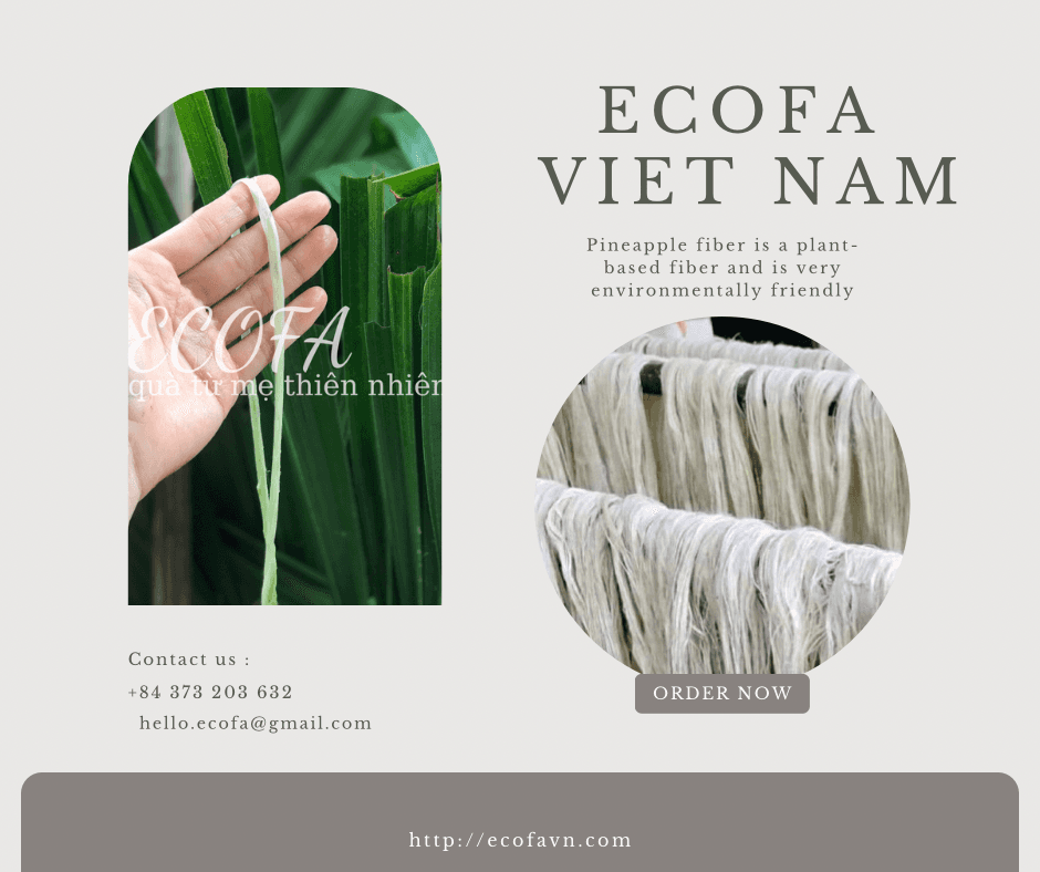 https://imagedelivery.net/Zup8WBbIN5Thd9Z4UDwdTA/6e4cc347-c97b-4dc2-c1fa-09516d8df900/instagram