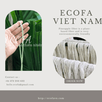https://imagedelivery.net/Zup8WBbIN5Thd9Z4UDwdTA/6e4cc347-c97b-4dc2-c1fa-09516d8df900/thumb