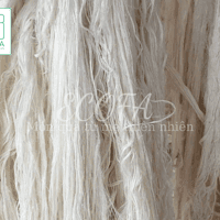 https://imagedelivery.net/Zup8WBbIN5Thd9Z4UDwdTA/7ca511fe-304f-40ec-4cc2-56eb4f0e2500/thumb