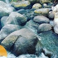 https://imagedelivery.net/Zup8WBbIN5Thd9Z4UDwdTA/8d2f51f4-15b4-4c11-3dfa-246bddb24600/thumb