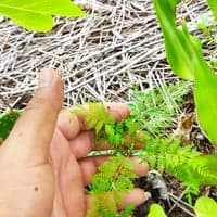 https://imagedelivery.net/Zup8WBbIN5Thd9Z4UDwdTA/9733b91d-3591-448c-66f3-fa40efa51800/thumb