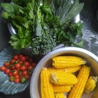 https://imagedelivery.net/Zup8WBbIN5Thd9Z4UDwdTA/b5e0eb7f-d501-4d77-1b82-02fb9f5acc00/thumb