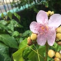 https://imagedelivery.net/Zup8WBbIN5Thd9Z4UDwdTA/c946bdd0-7b69-49d0-0984-3a8b1ea35b00/thumb