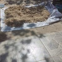 https://imagedelivery.net/Zup8WBbIN5Thd9Z4UDwdTA/cf2cce66-e4da-4f9c-b4df-b937ebb37500/thumb