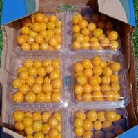 https://imagedelivery.net/Zup8WBbIN5Thd9Z4UDwdTA/dc0266f9-5457-462f-62e7-023611e80100/thumb